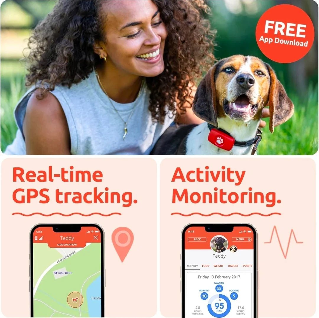 PitPat Collar GPS Tracker | Luxury Home Accessories | Heulog Glow