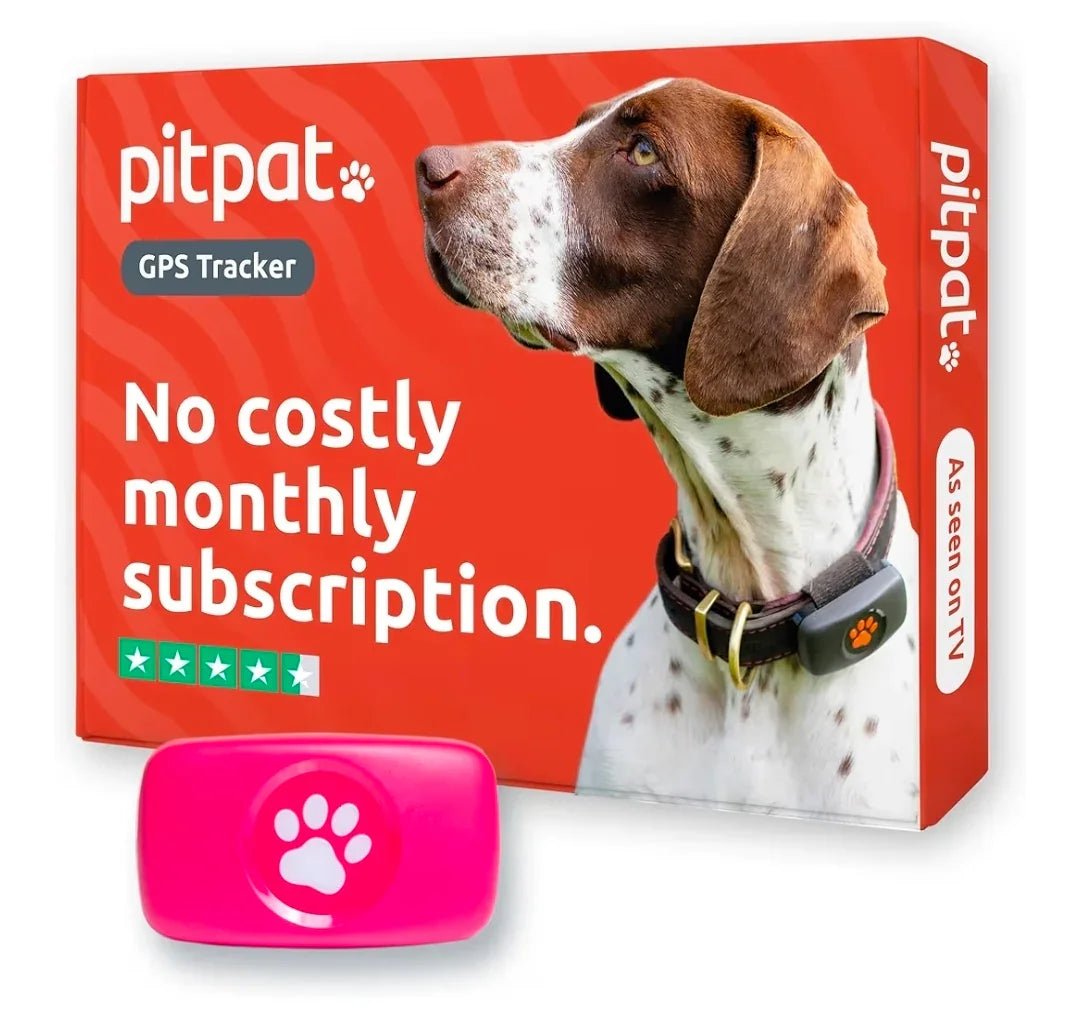 PitPat Collar GPS Tracker | Luxury Home Accessories | Heulog Glow