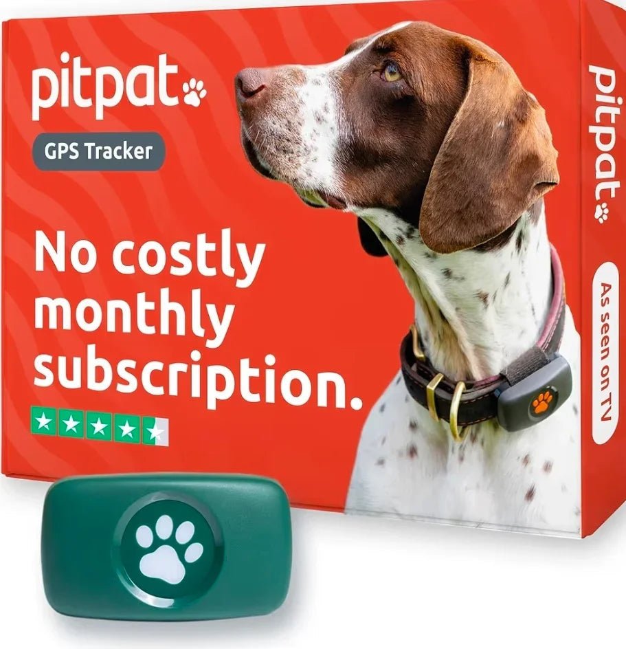 PitPat Collar GPS Tracker | Luxury Home Accessories | Heulog Glow