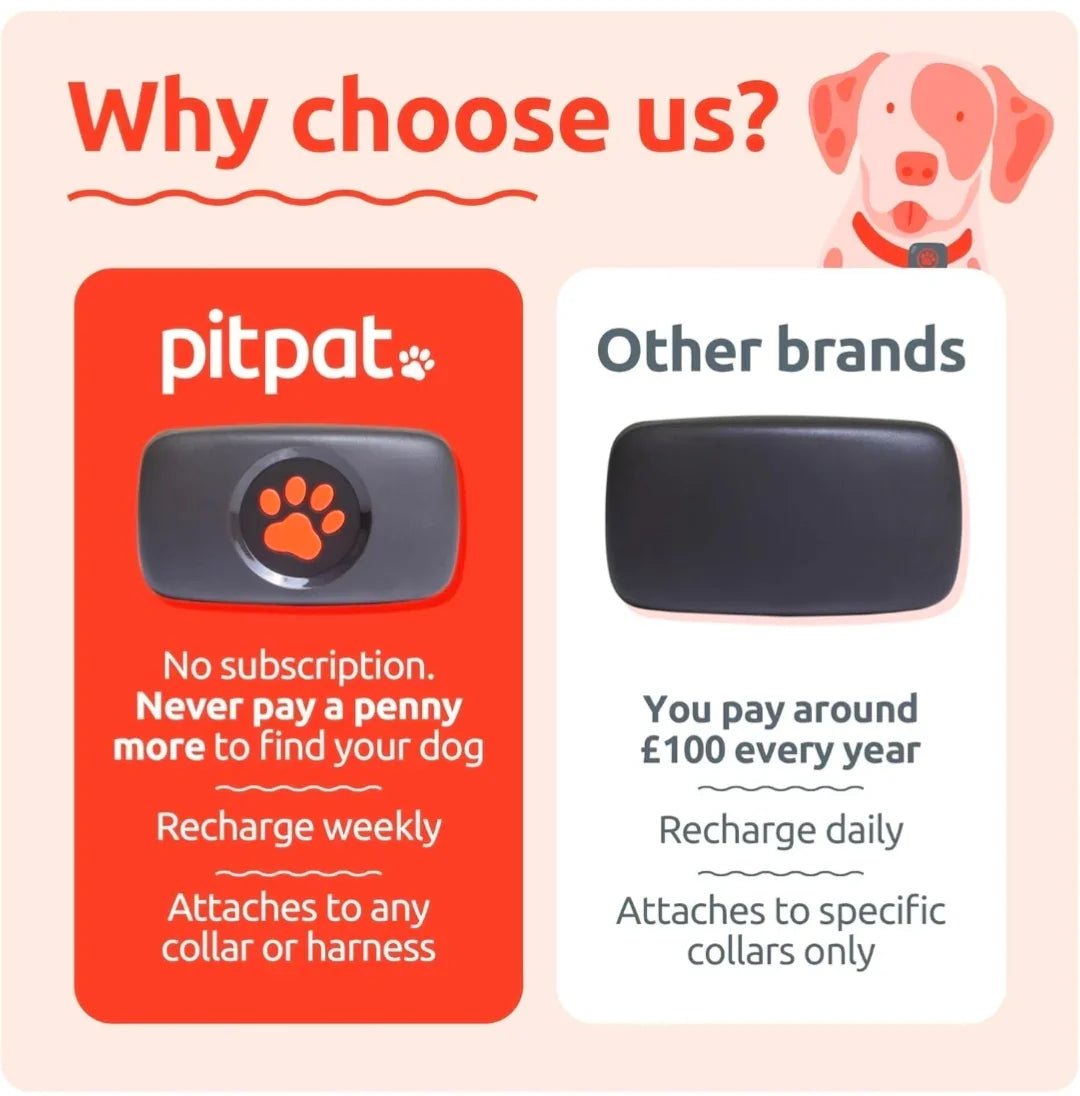 PitPat Collar GPS Tracker | Luxury Home Accessories | Heulog Glow