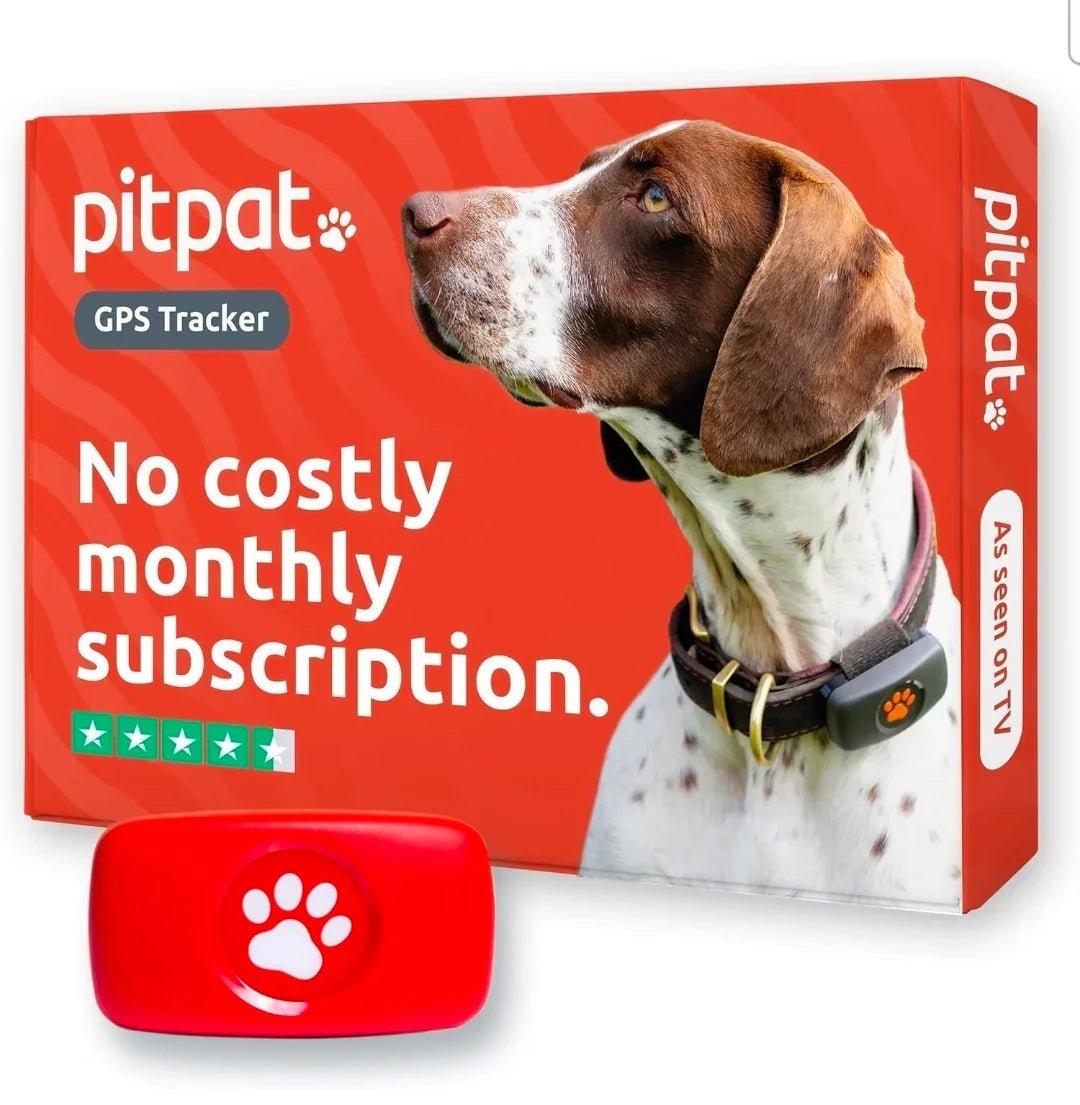 PitPat Collar GPS Tracker | Luxury Home Accessories | Heulog Glow