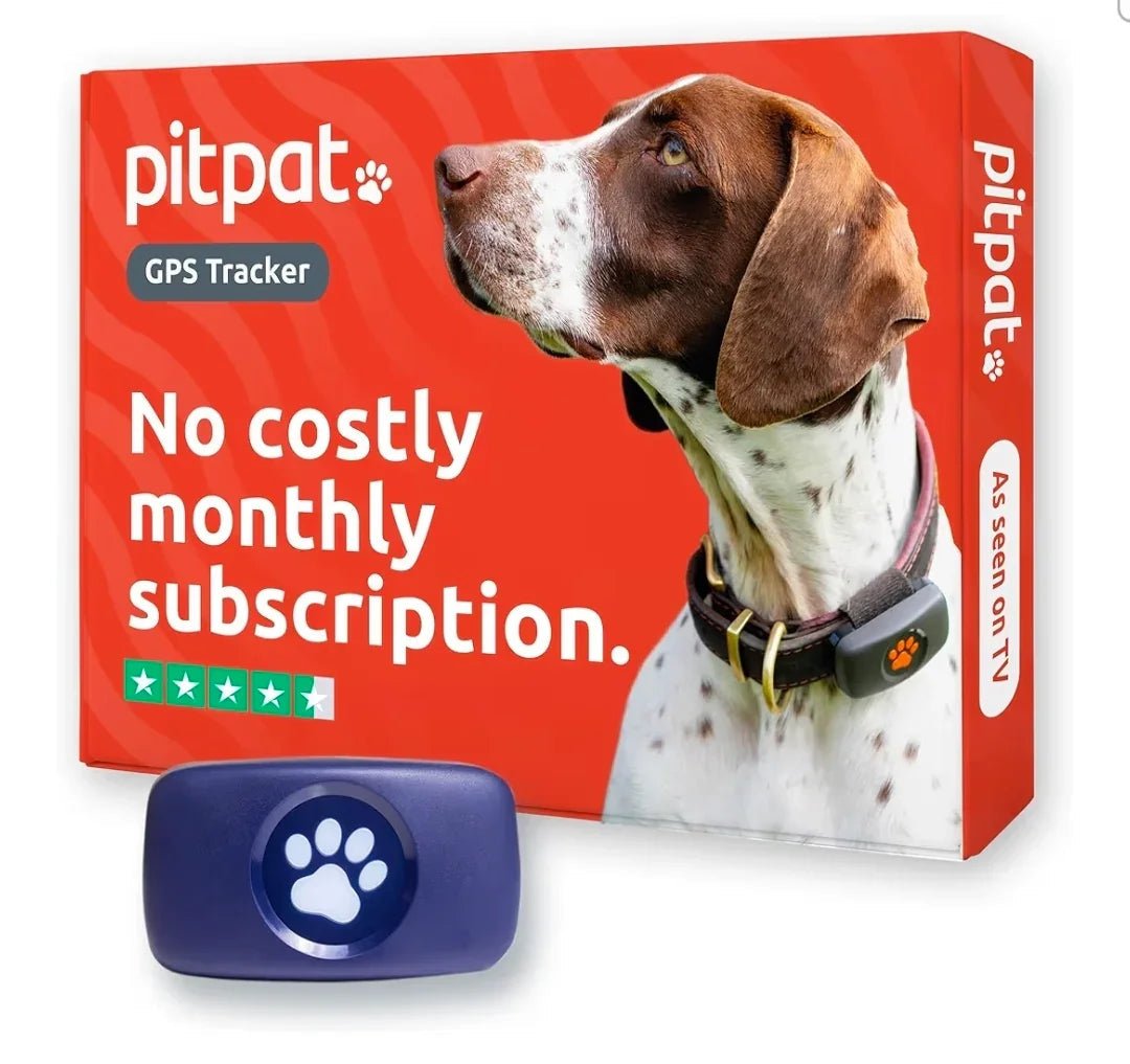 PitPat Collar GPS Tracker | Luxury Home Accessories | Heulog Glow