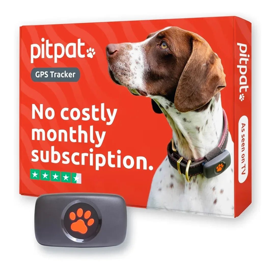 PitPat Collar GPS Tracker | Luxury Home Accessories | Heulog Glow