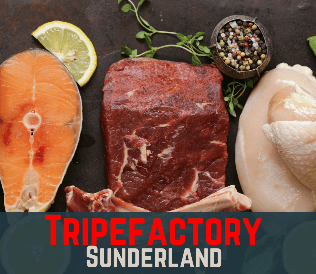 Pizzle (7 Inch) - Tripefactory Sunderland - Natural Dried Dog Treats | Luxury Home Accessories | Heulog Glow