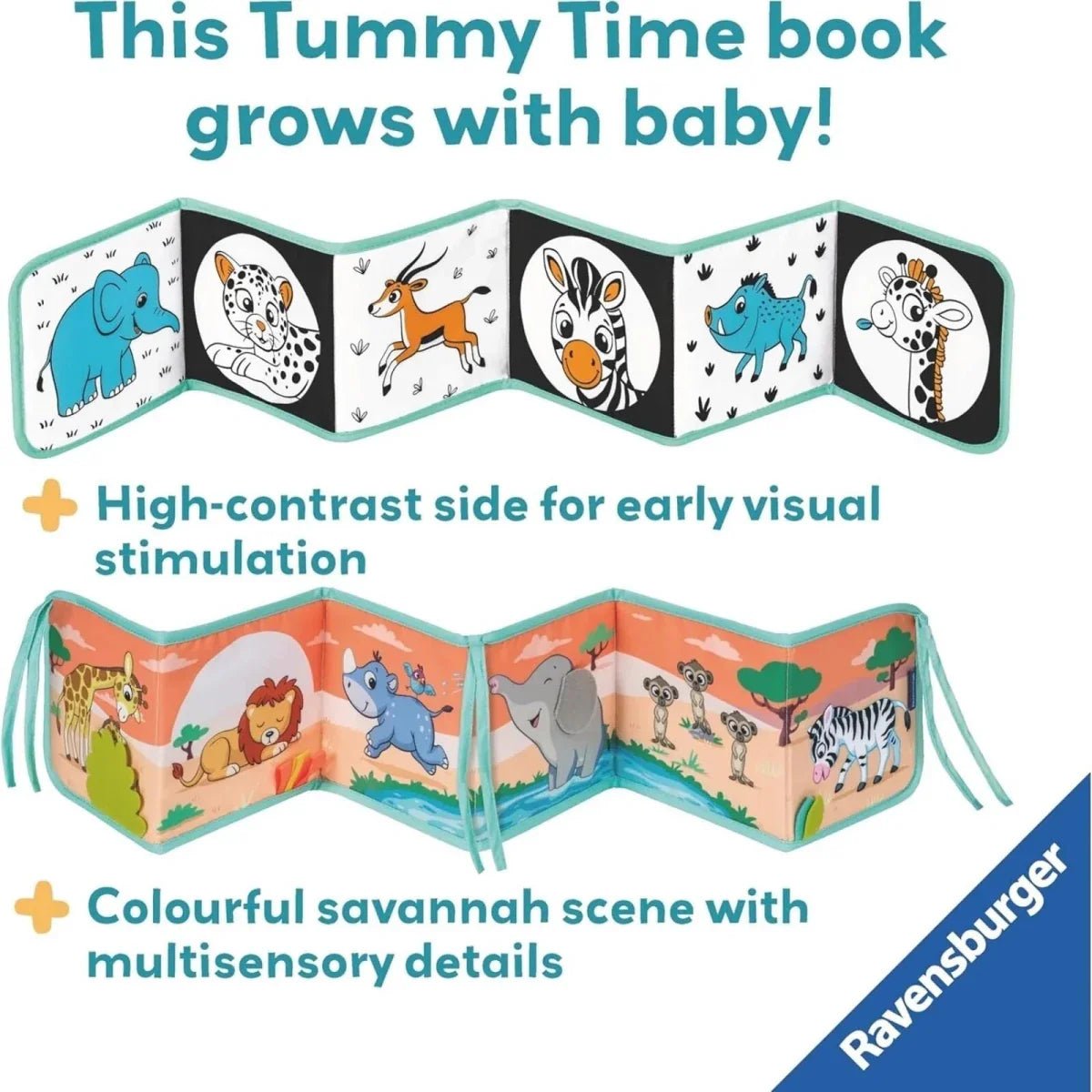 Play+ Tummy Time Wild Animals Book | Luxury Home Accessories | Heulog Glow