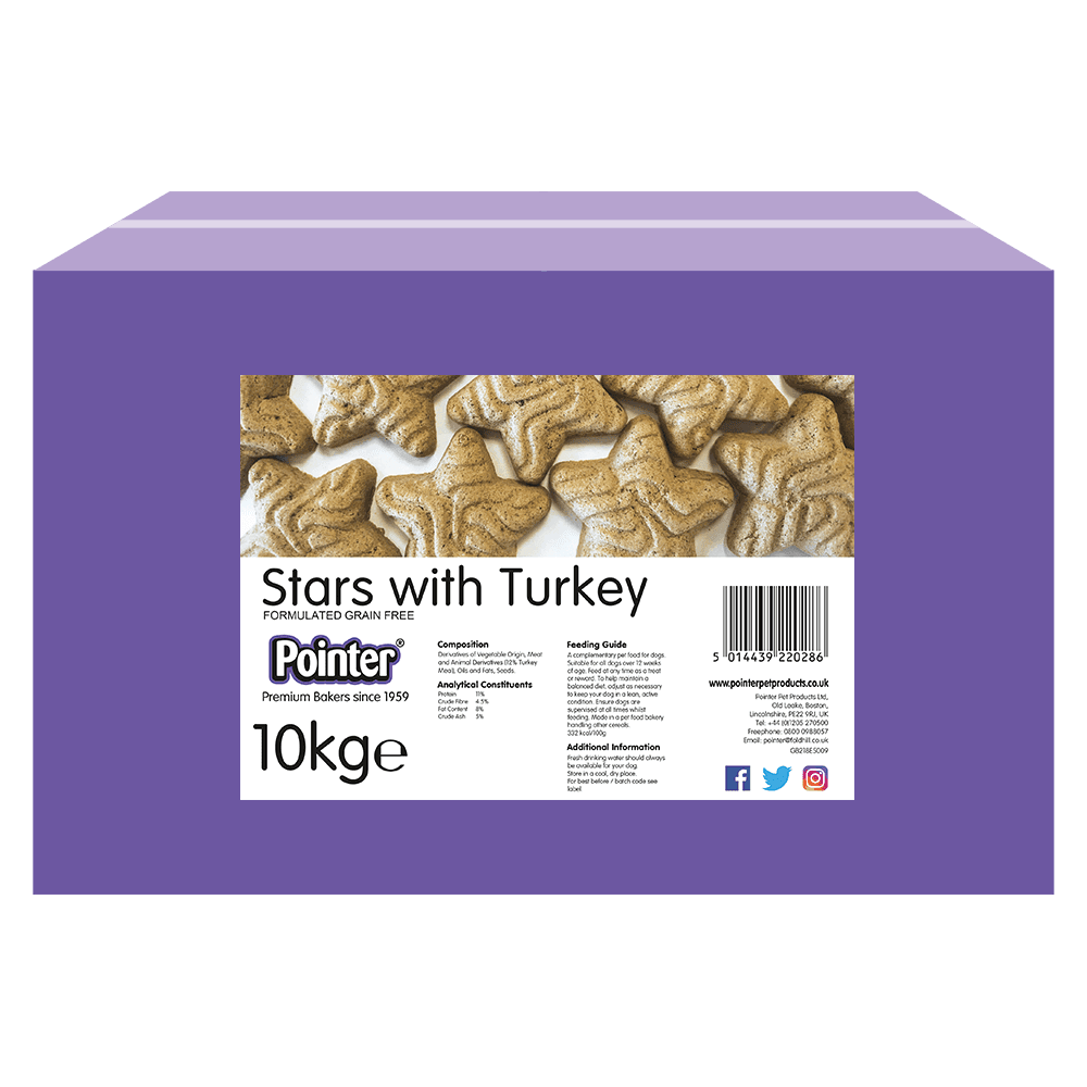 Pointer Stars with TurkeyPointer Stars with Turkey 10kg | Luxury Home Accessories | Heulog Glow