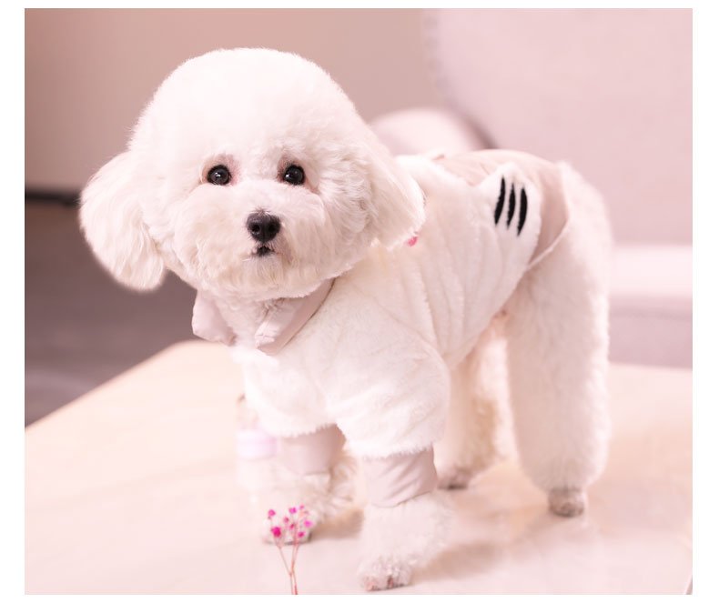 Pomeranian Bichon Teddy Clothes | Luxury Home Accessories | Heulog Glow