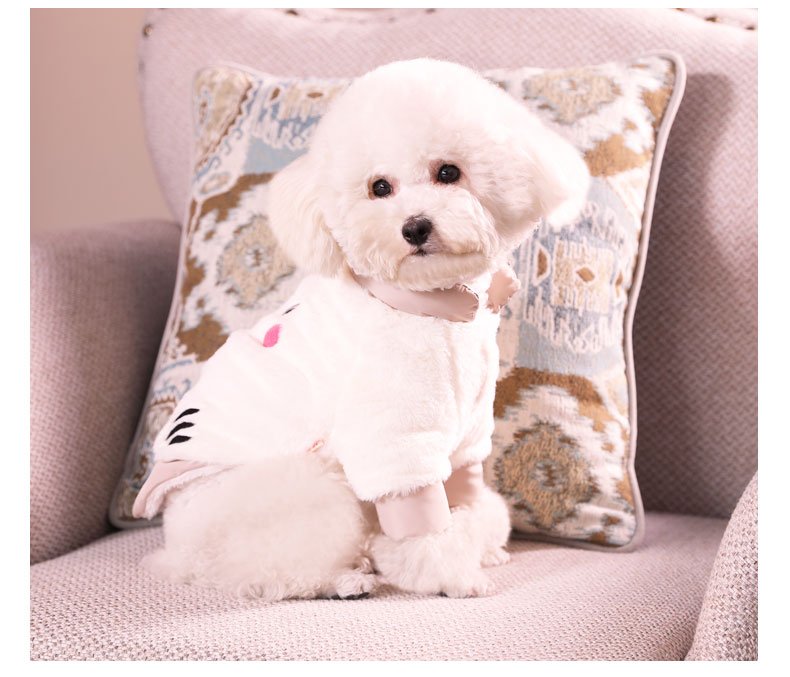Pomeranian Bichon Teddy Clothes | Luxury Home Accessories | Heulog Glow