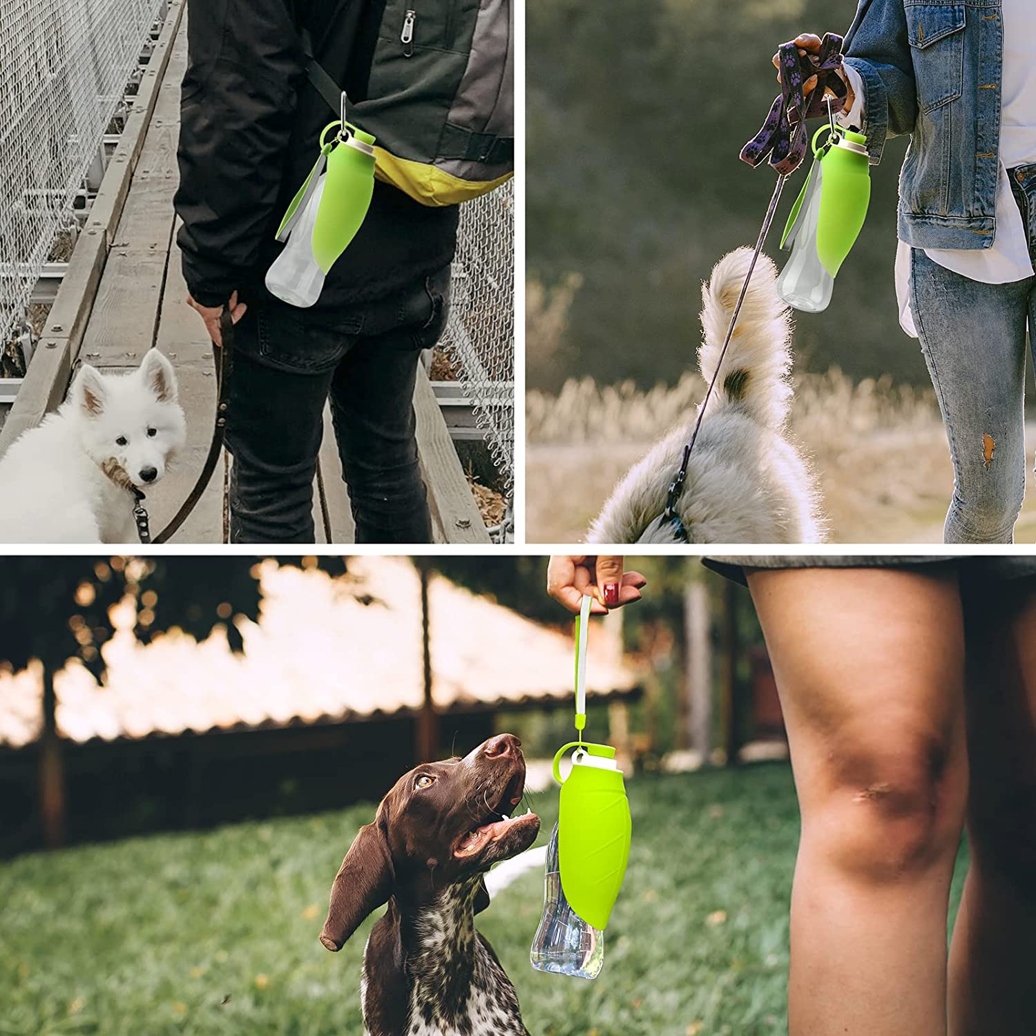 Portable Pet Water Dispenser Feeder Leak Proof With Drinking Cup Dish Bowl Dog Water Bottle | Luxury Home Accessories | Heulog Glow