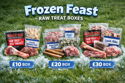 Primal Frozen Treat Selection | Luxury Home Accessories | Heulog Glow