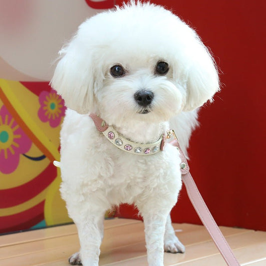 PU Leather Dogs And Cats Diamond Chest Back Suit | Luxury Home Accessories | Heulog Glow