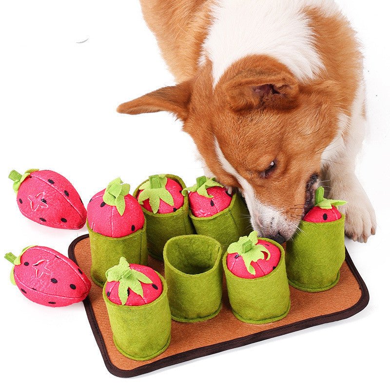Pulling Out Strawberries Is Good For Intelligence And Smell | Luxury Home Accessories | Heulog Glow