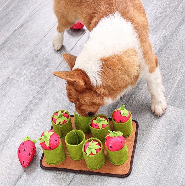 Pulling Out Strawberries Is Good For Intelligence And Smell | Luxury Home Accessories | Heulog Glow