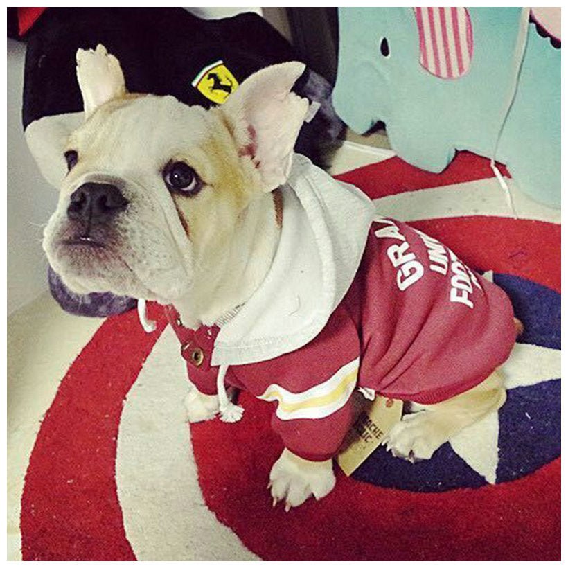 Pullover Letter Hooded Jacket Dog Clothes | Luxury Home Accessories | Heulog Glow