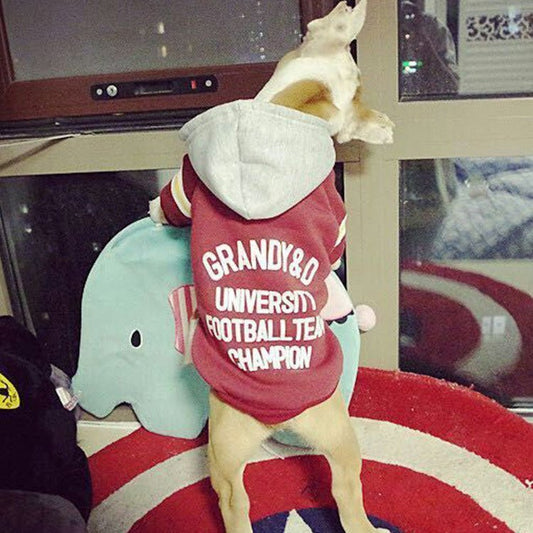 Pullover Letter Hooded Jacket Dog Clothes | Luxury Home Accessories | Heulog Glow