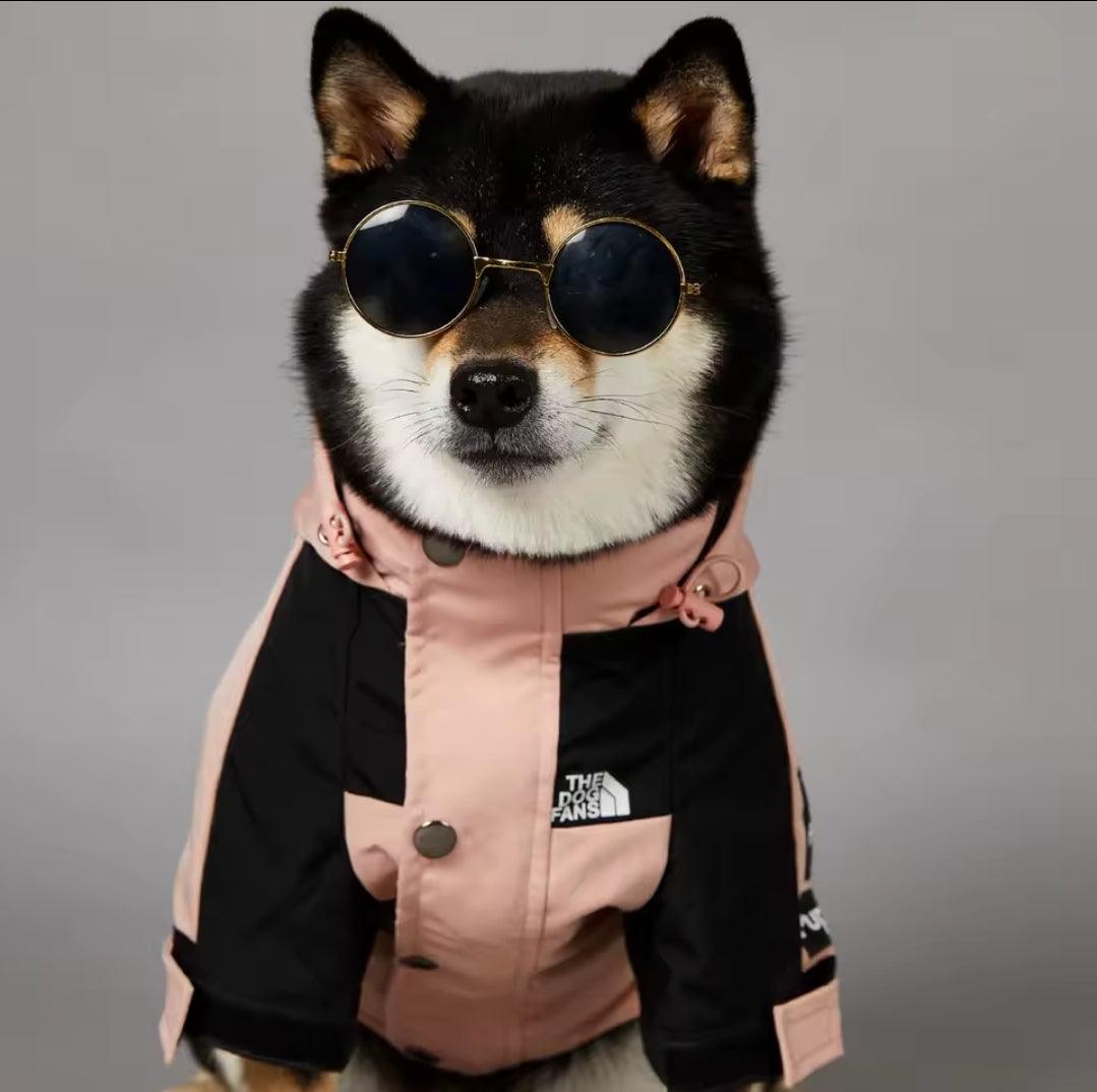 Pup Waterproof Dog Coat | Luxury Home Accessories | Heulog Glow