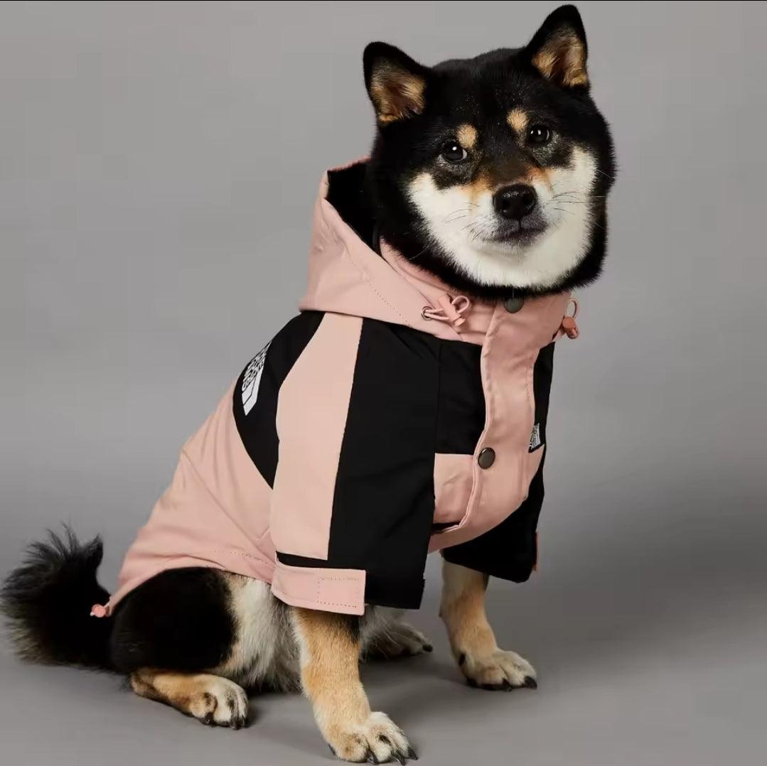 Pup Waterproof Dog Coat | Luxury Home Accessories | Heulog Glow