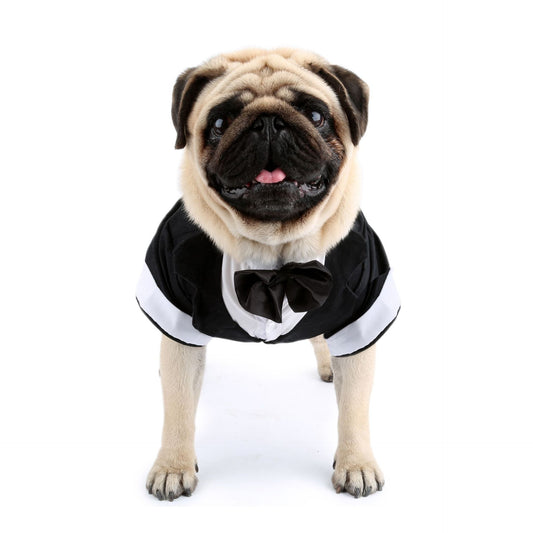 Puppy Gentleman Bow Tie Evening Dress Pet Supplies | Luxury Home Accessories | Heulog Glow