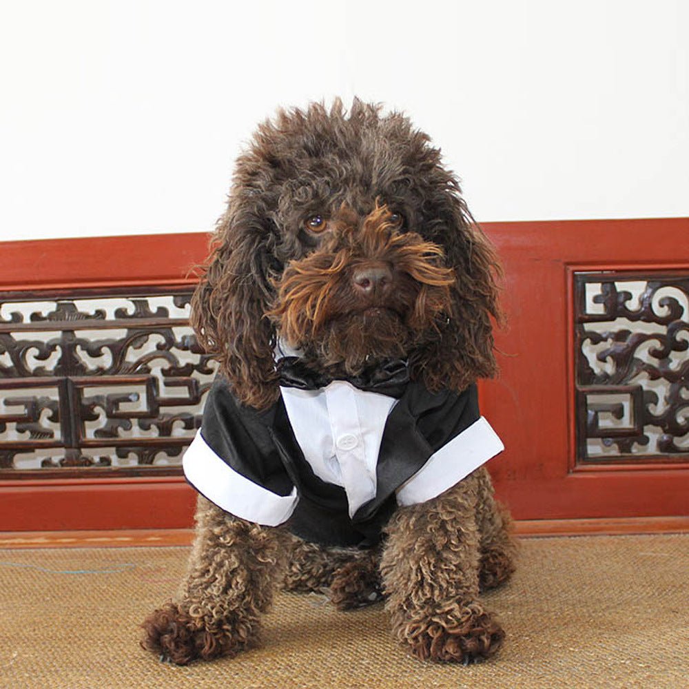 Puppy Gentleman Bow Tie Evening Dress Pet Supplies | Luxury Home Accessories | Heulog Glow