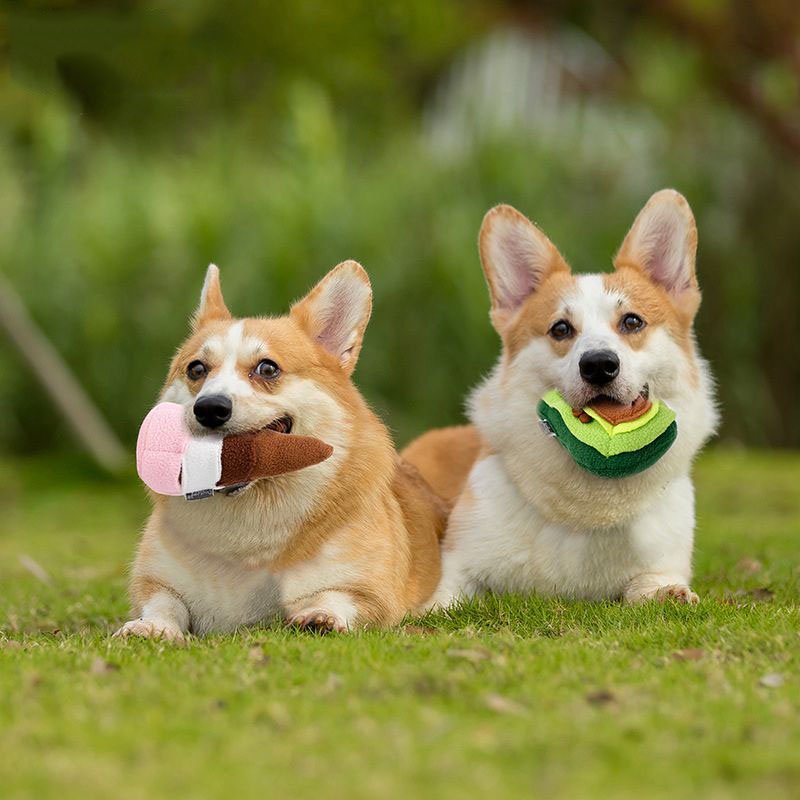 Puppy molar toy | Luxury Home Accessories | Heulog Glow
