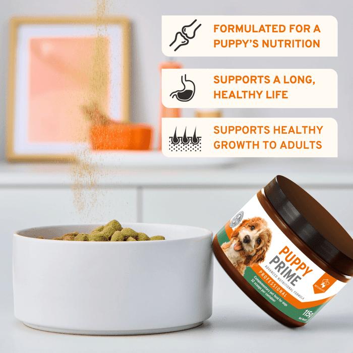 Puppy Prime 29-in-1 puppy supplement | Luxury Home Accessories | Heulog Glow