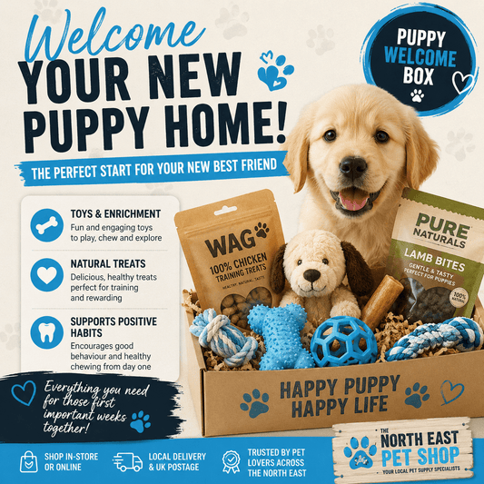 Puppy Welcome Home Box | Luxury Home Accessories | Heulog Glow