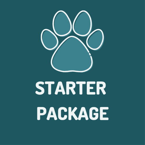 Rabbit Starter Package - Indoor & Outdoor Bunny Essentials Bundle | Luxury Home Accessories | Heulog Glow