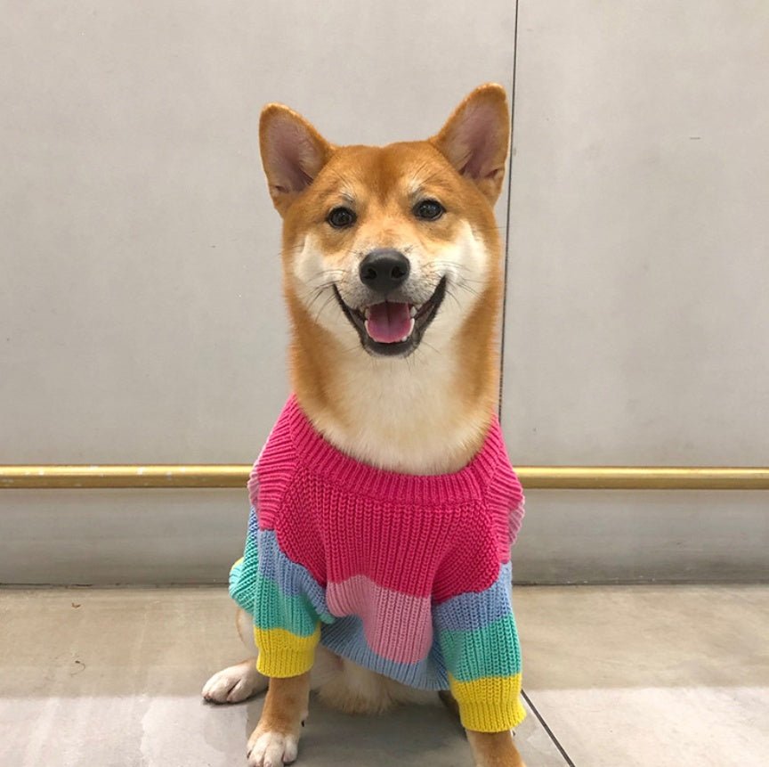 Rainbow sweater small dog puppies clothes | Luxury Home Accessories | Heulog Glow