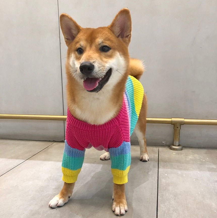 Rainbow sweater small dog puppies clothes | Luxury Home Accessories | Heulog Glow