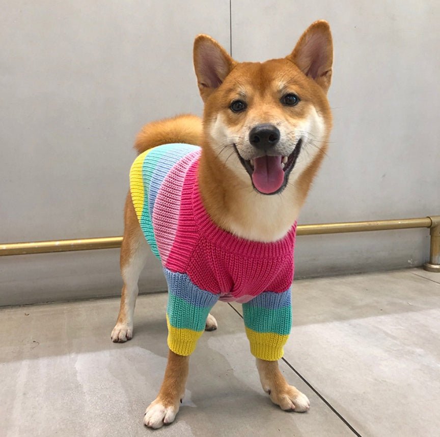 Rainbow sweater small dog puppies clothes | Luxury Home Accessories | Heulog Glow