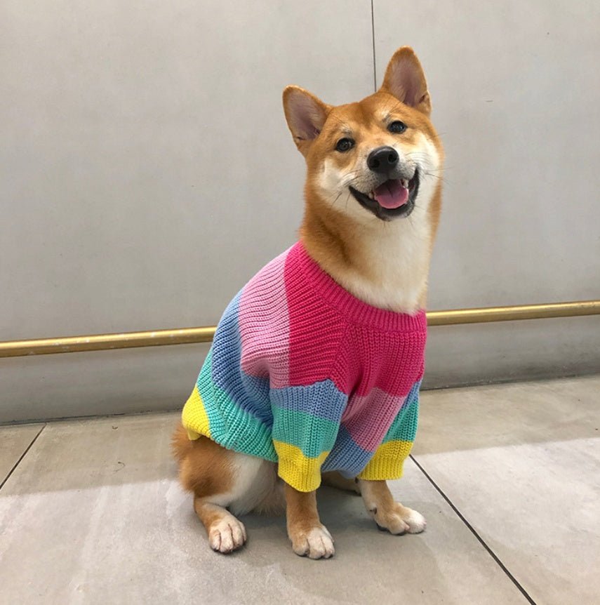 Rainbow sweater small dog puppies clothes | Luxury Home Accessories | Heulog Glow