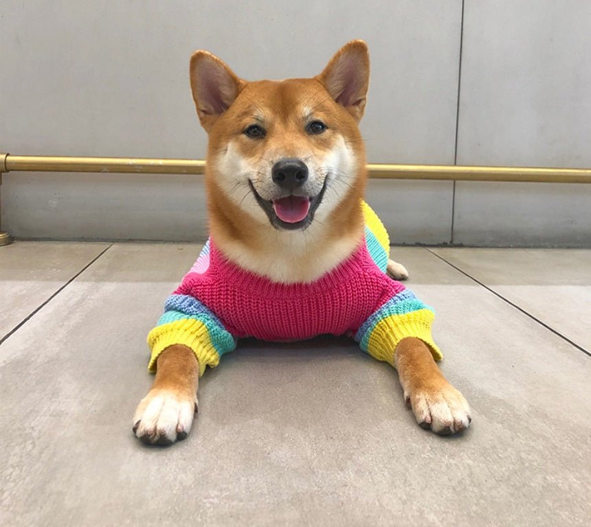 Rainbow sweater small dog puppies clothes | Luxury Home Accessories | Heulog Glow