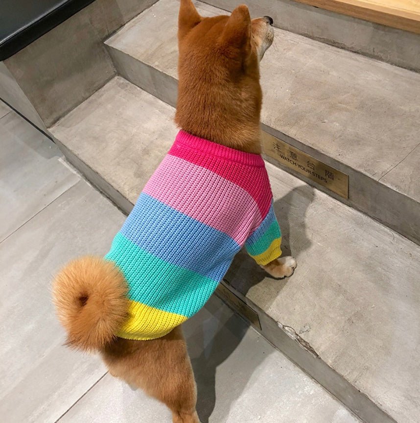 Rainbow sweater small dog puppies clothes | Luxury Home Accessories | Heulog Glow