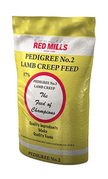 Red Mills Sheep Lamb Creep No.2 | Luxury Home Accessories | Heulog Glow