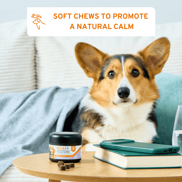 Relax + Restore Natural daily calm for anxious dogs | Luxury Home Accessories | Heulog Glow