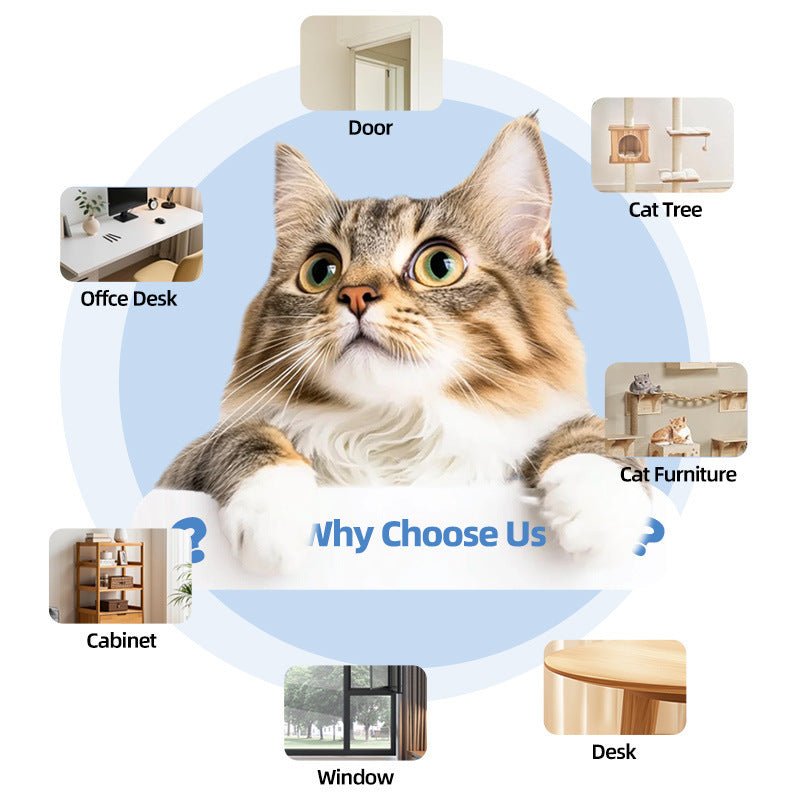 Retractable Automatic Remote-controlled Pet Toy | Luxury Home Accessories | Heulog Glow