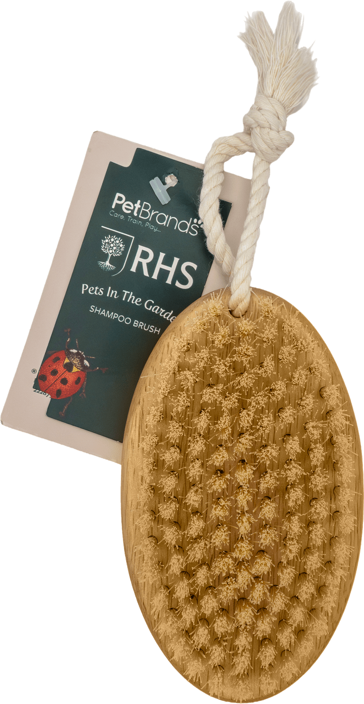 RHS Pets in the Garden Shampoo Brush | Luxury Home Accessories | Heulog Glow