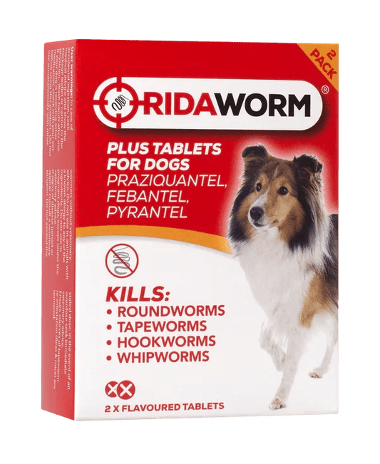 Ridaworm Dog Tablets 50/144/150mg | Luxury Home Accessories | Heulog Glow