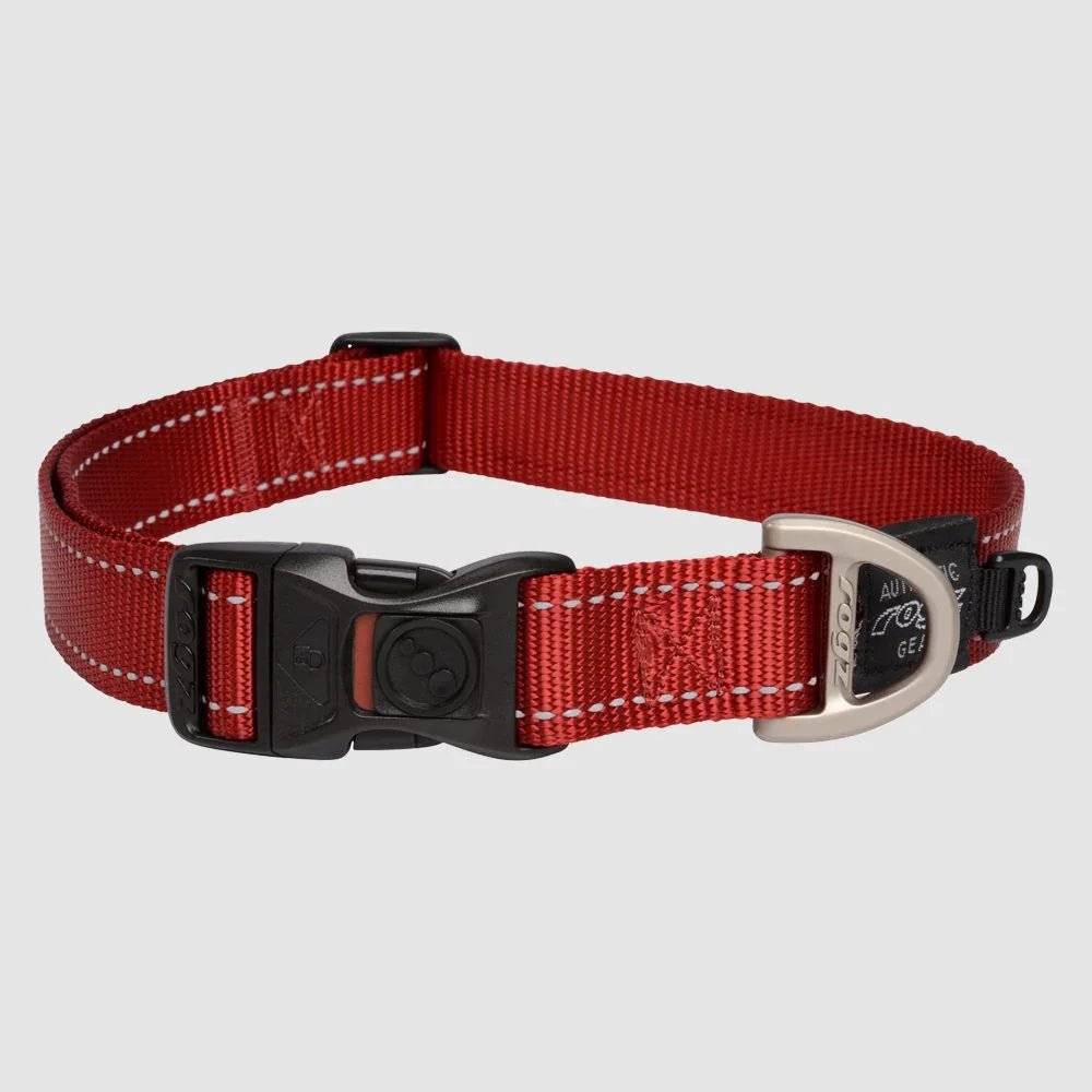 Rogz Utility Classic Collar | Luxury Home Accessories | Heulog Glow
