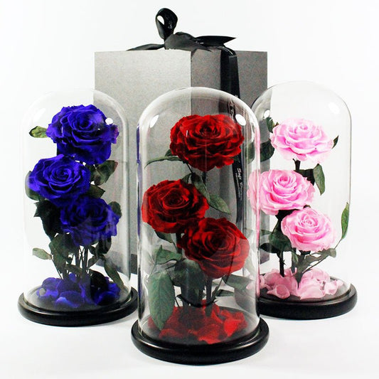 Rose Glass Cover Valentine's Day Christmas Gift | Luxury Home Accessories | Heulog Glow