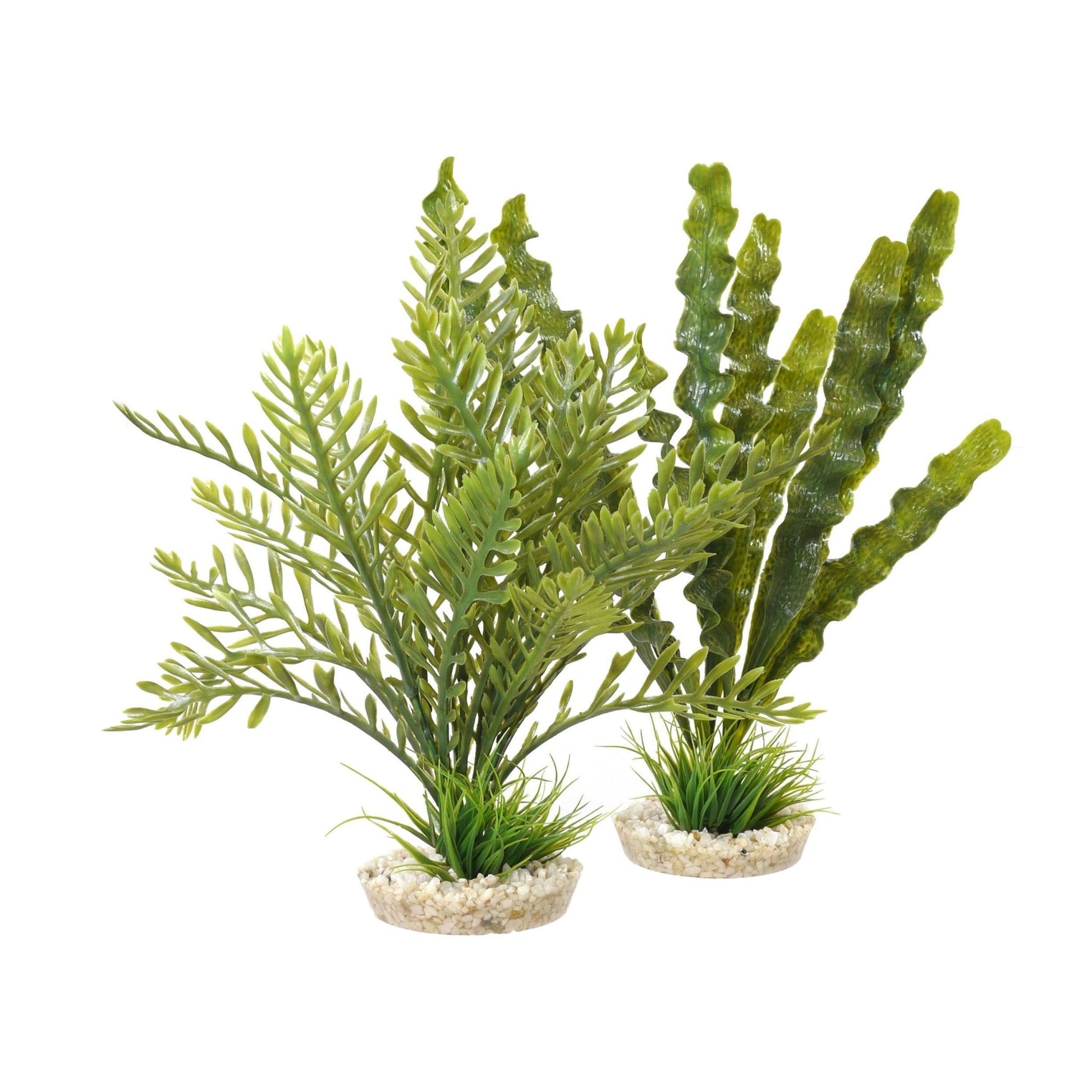 Rosewood Aponogeton/Hottonia Mix x4 | Luxury Home Accessories | Heulog Glow