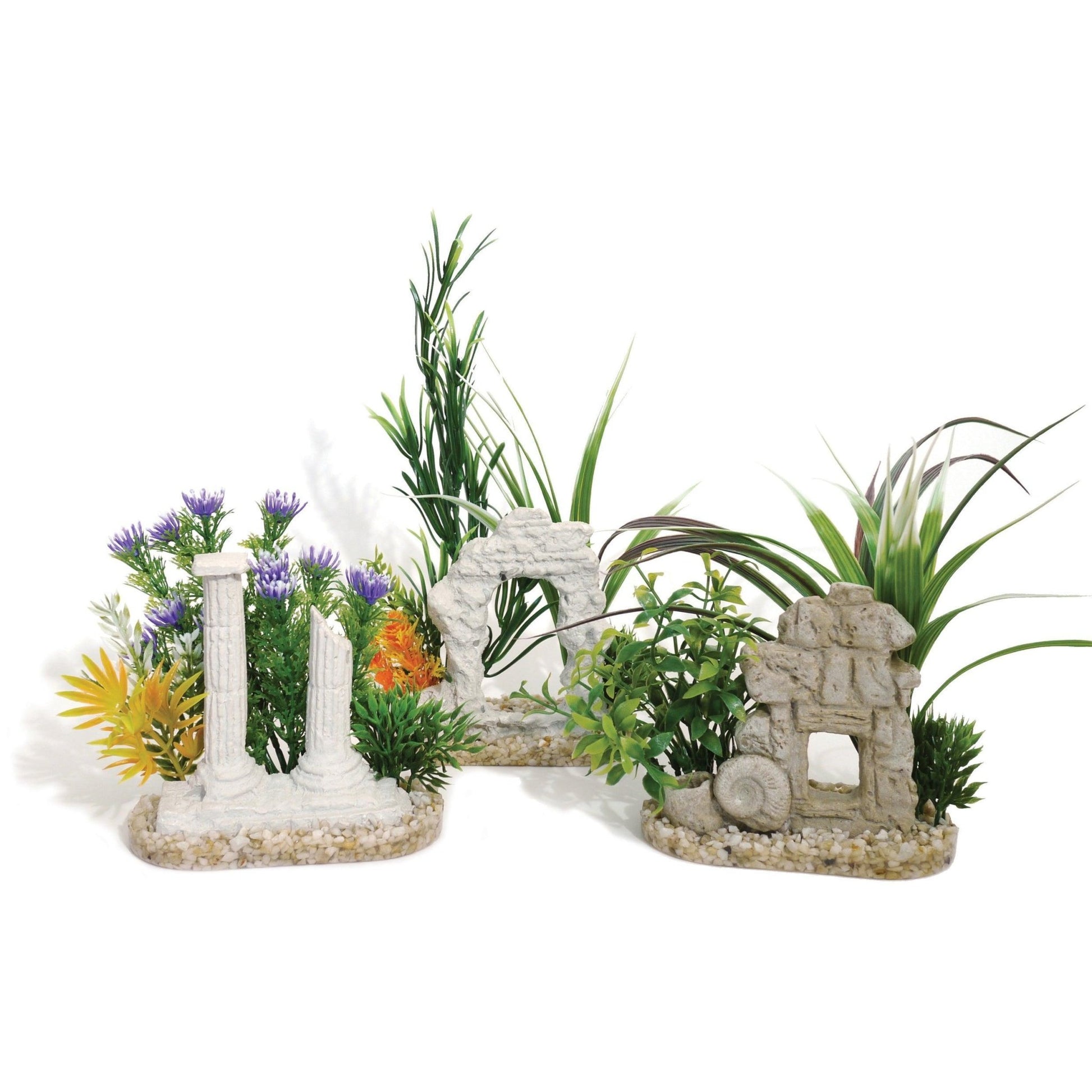 Rosewood Aquaplant Decor Ruins x6 | Luxury Home Accessories | Heulog Glow