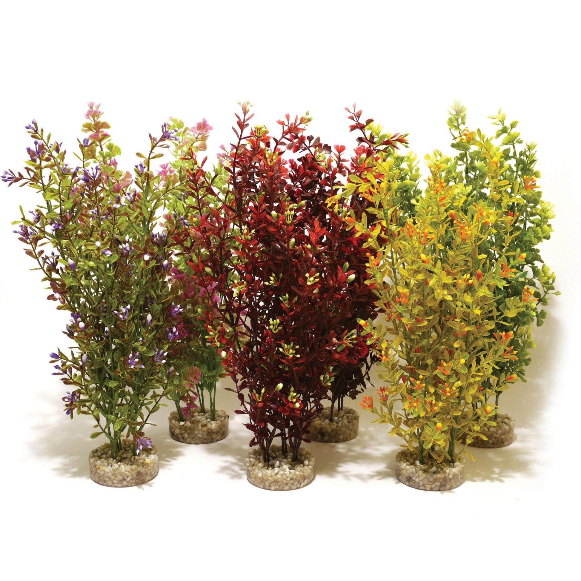 Rosewood Cocktail Plant Maxi x6 | Luxury Home Accessories | Heulog Glow