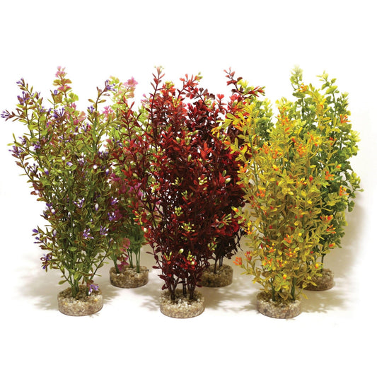 Rosewood Cocktail Plant Maxi x6 | Luxury Home Accessories | Heulog Glow