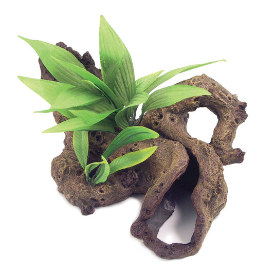 Rosewood Mopani Wood with Plant Small | Luxury Home Accessories | Heulog Glow