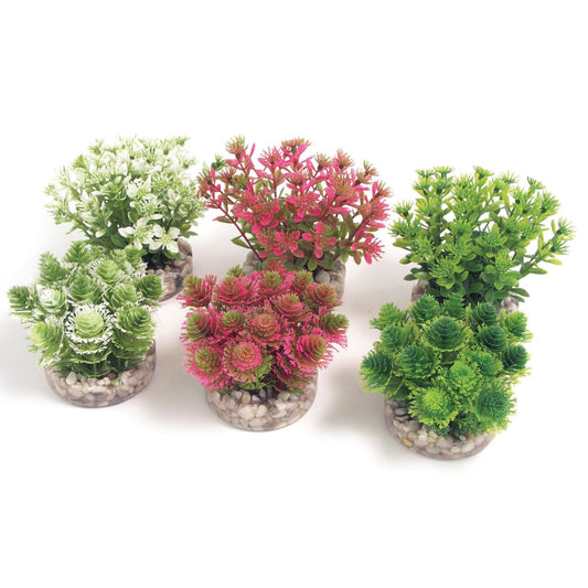 Rosewood Nano Bush Natural x12 | Luxury Home Accessories | Heulog Glow
