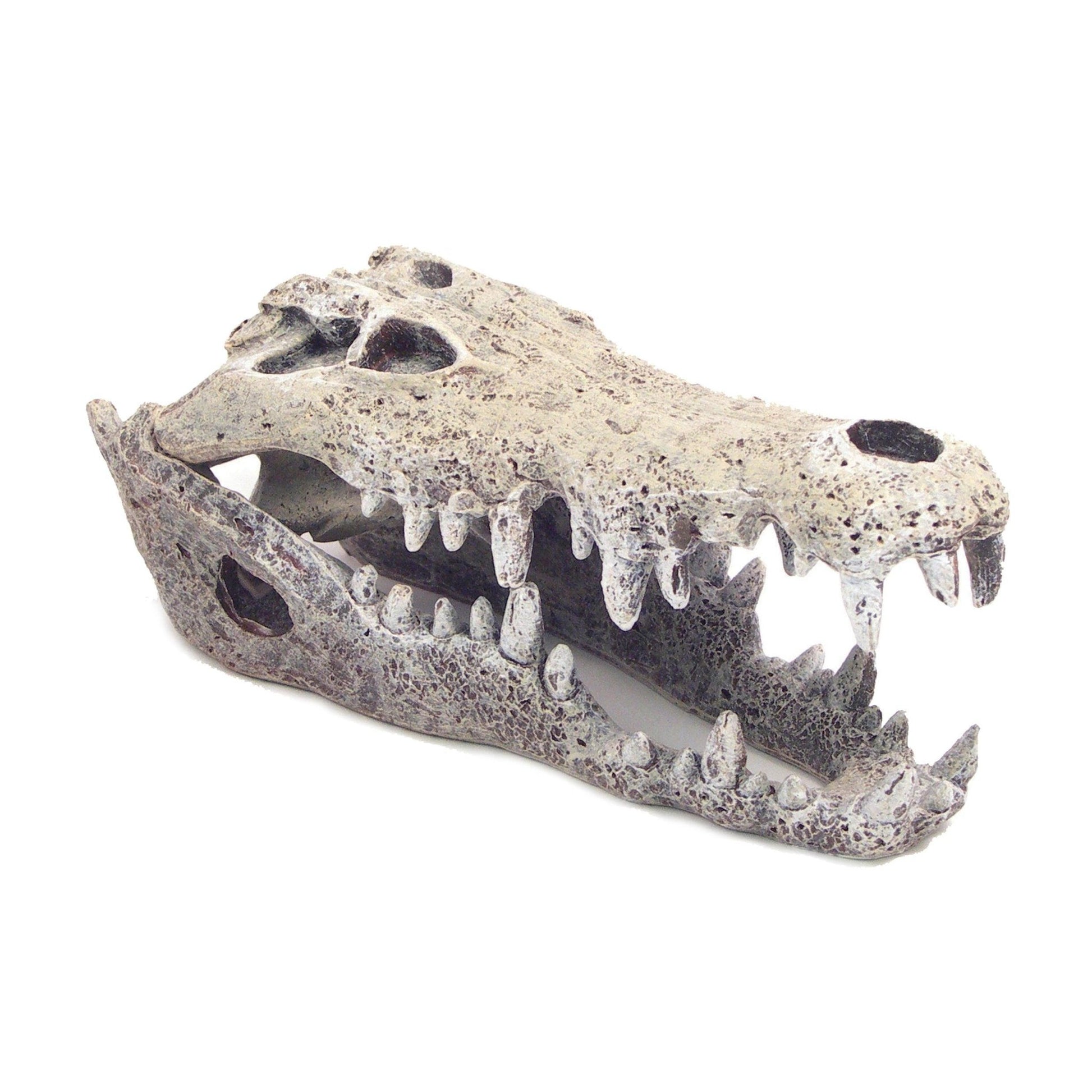 Rosewood Nile Crocodile Small | Luxury Home Accessories | Heulog Glow