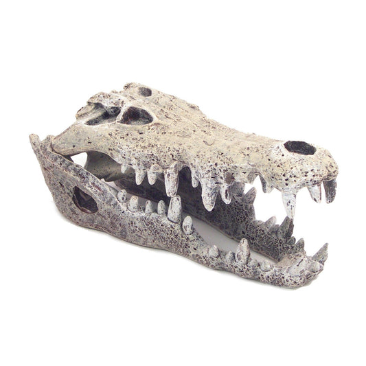Rosewood Nile Crocodile Small | Luxury Home Accessories | Heulog Glow
