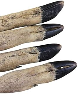 Row deer leg | Luxury Home Accessories | Heulog Glow