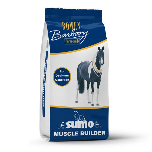 Rowen Barbary Sumo Muscle Builder | Luxury Home Accessories | Heulog Glow